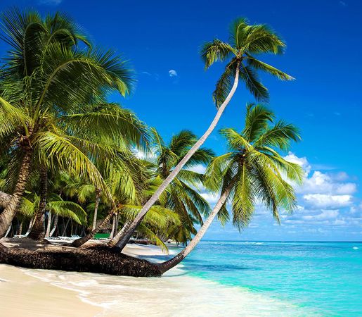 Flights from Moldova to Dominican Republic