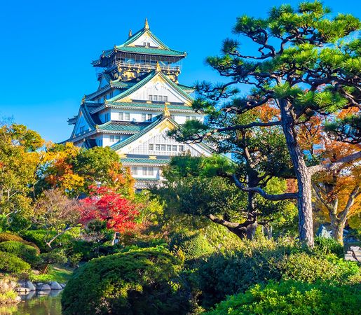 Baia Mare-Osaka