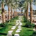 Bacău - Hurghada