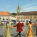 Baia Mare