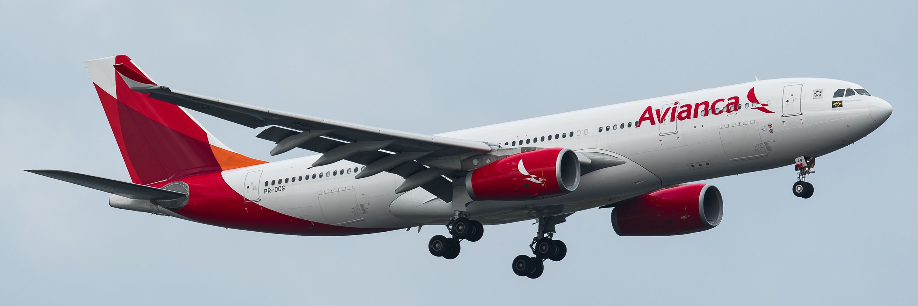 Avianca flight tickets - OOZH